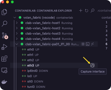 Extension vscode